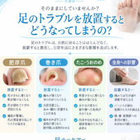 画像240