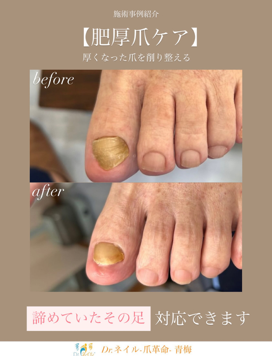 画像247