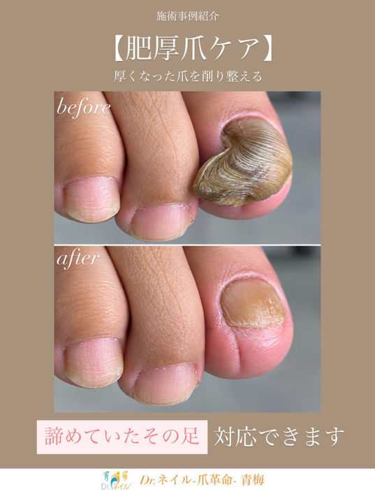 画像251