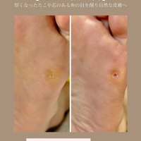 画像259