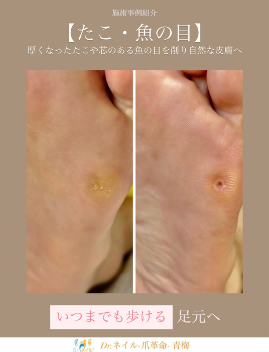 画像259